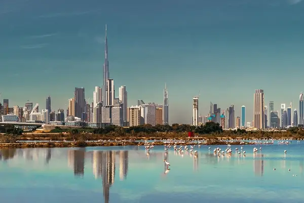 Will Dubai Property Prices Fall in 2026 - Market Forecast