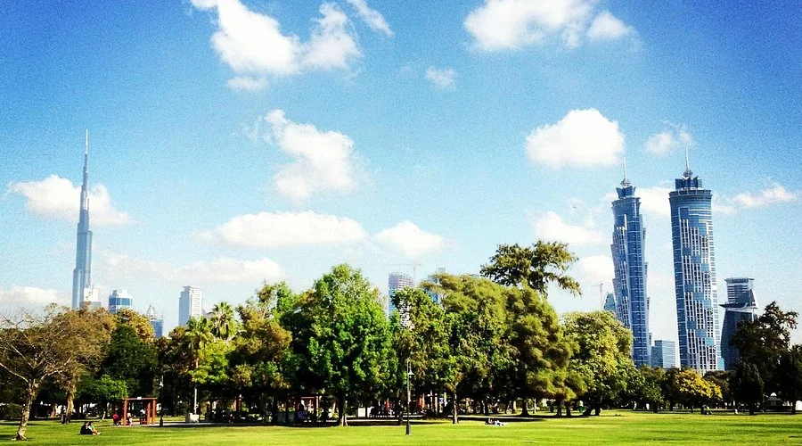 Al Safa Park Area